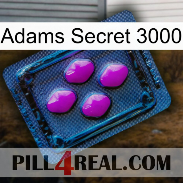 Adams Secret 3000 04